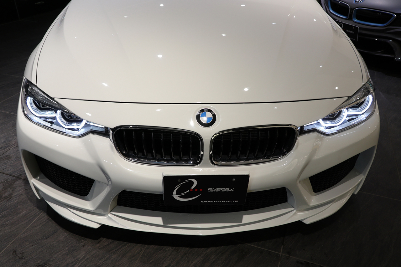 F30LCI - EMS-SHOP